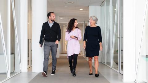 Drie collega's lopen door de gang van het stadhuis